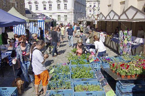 Farmsk trhy v Kosteln v Liberci - www.webtrziste.cz