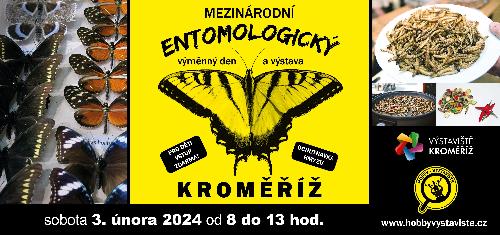 Prodejn vstava brouk, motl a ostatnho hmyzu. - www.webtrziste.cz