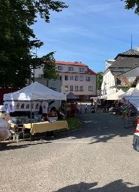 Vojnom�steck� posv�cen�-Vojn�v M�stec - www.webtrziste.cz