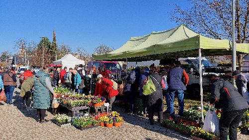 Farm��sk� trh - www.webtrziste.cz