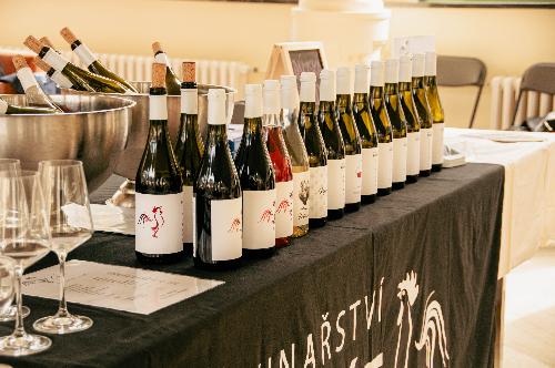 PODZIMN� DEN V�NA