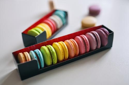 Omlouv�me se, ale obrazek nebyl dod�n