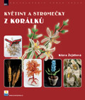 knihy_28.jpg